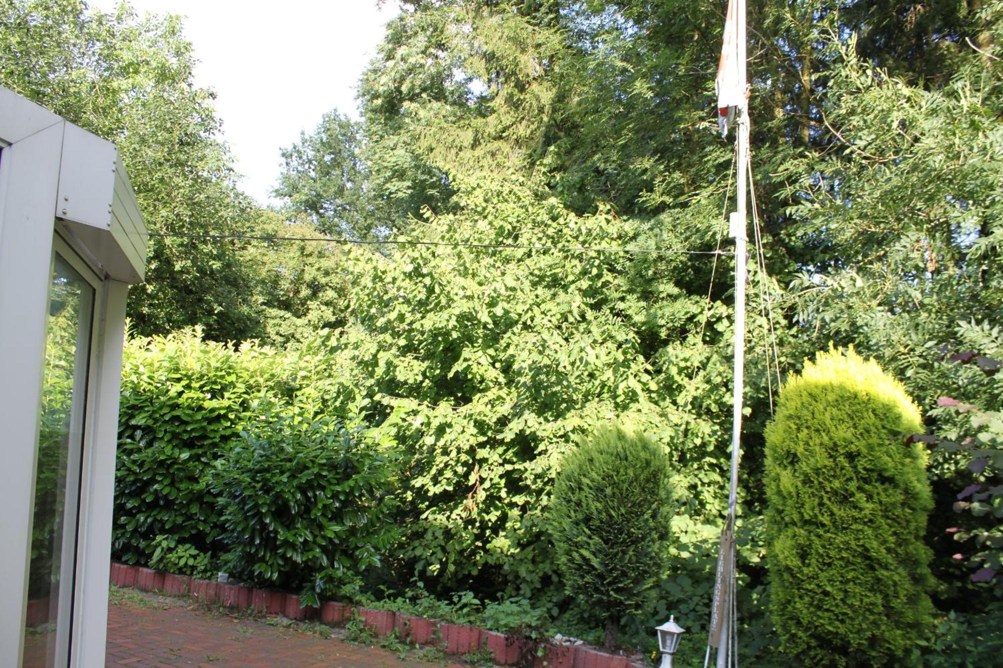 Fewo Harling - Waldsamkeit Bad Iburg Exterior photo