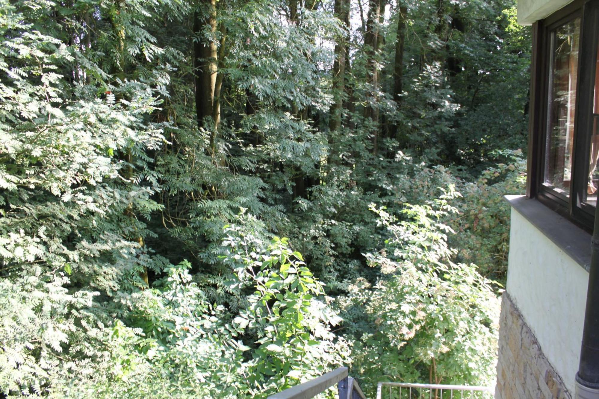 Fewo Harling - Waldsamkeit Bad Iburg Exterior photo
